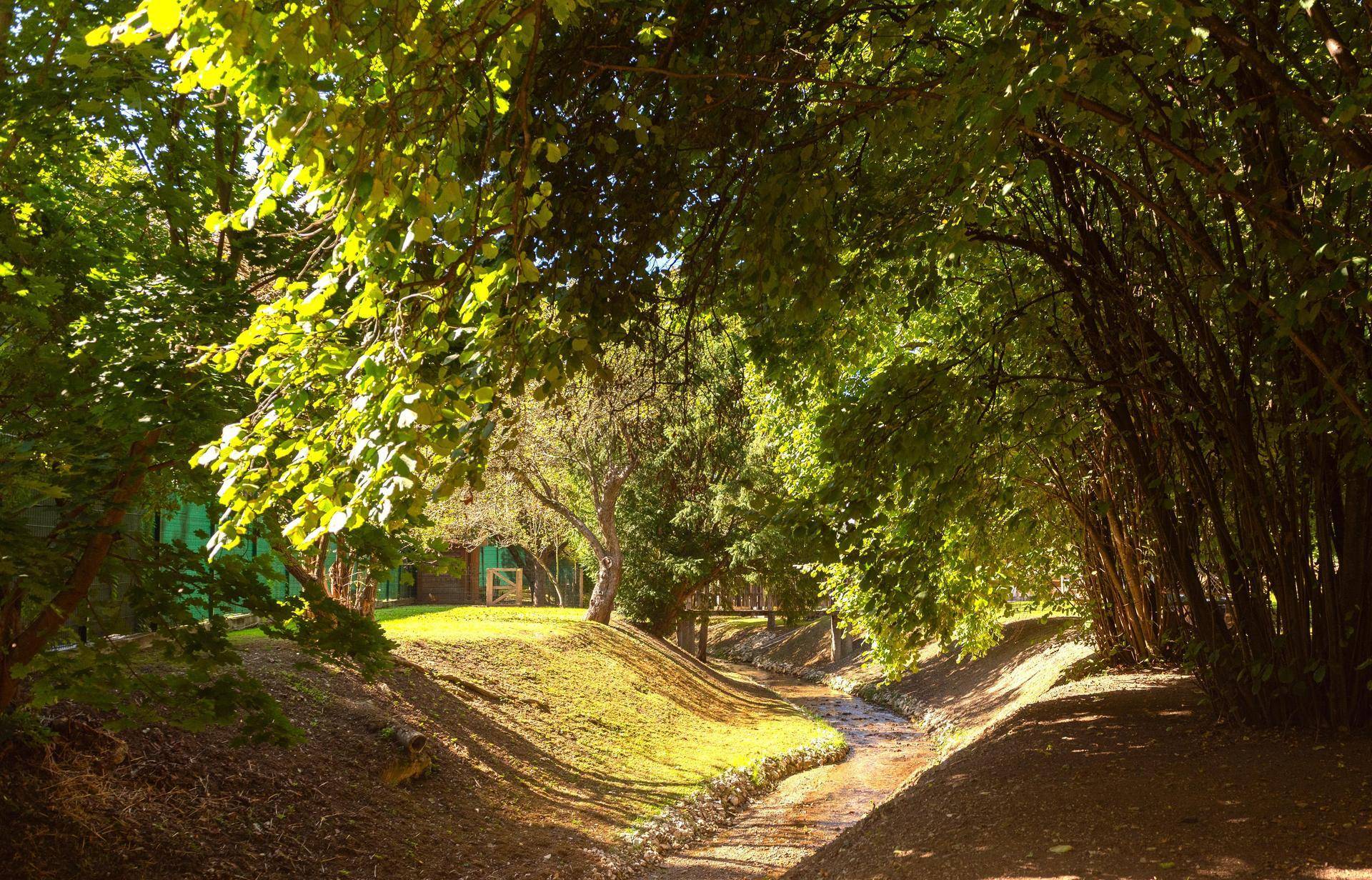 Idyllischer Gartenbereich mit einem kleinen Bachlauf, umgeben von üppigem Grün und Bäumen.