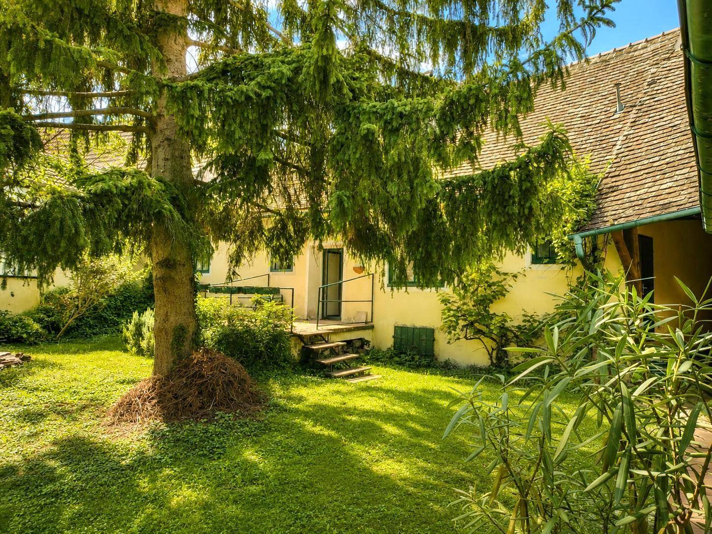 Idyllischer Gartenbereich mit üppiger Vegetation, einem großen Baum und Zugang zum Haus.
