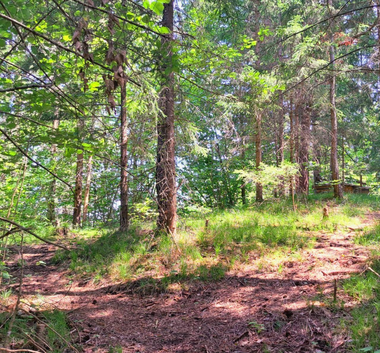 Traumhafte Liegenschaft im Schneeberg-/Raxgebiet 15.000 m² Eigengrund (Baugrund, Grünland, kleiner Forst) - Ansicht 5