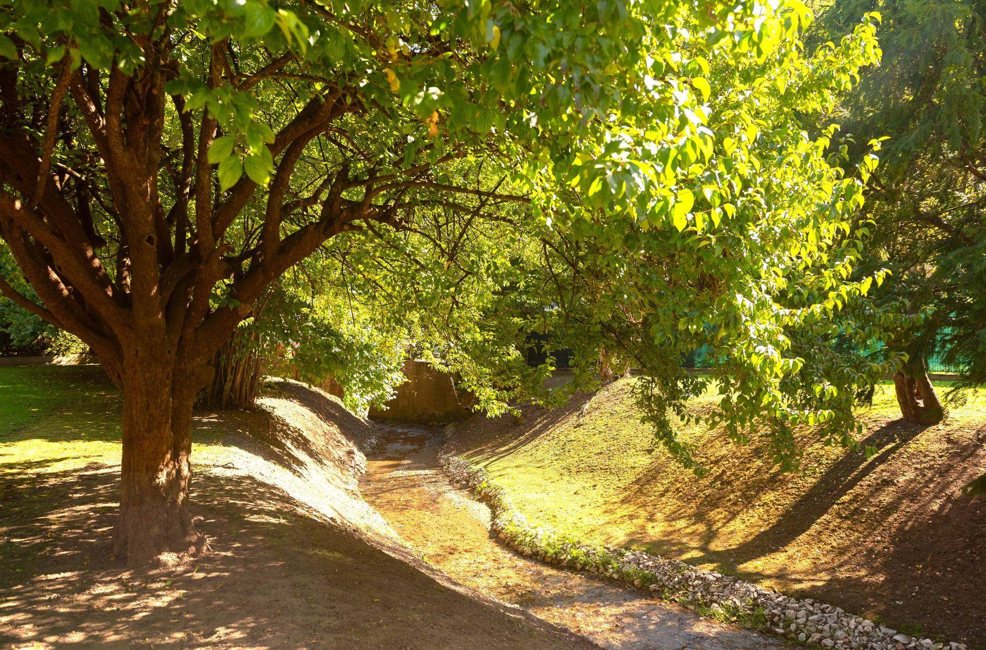 Bachlauf unter schattenspendenden Bäumen in einer idyllischen, grünen Landschaft.