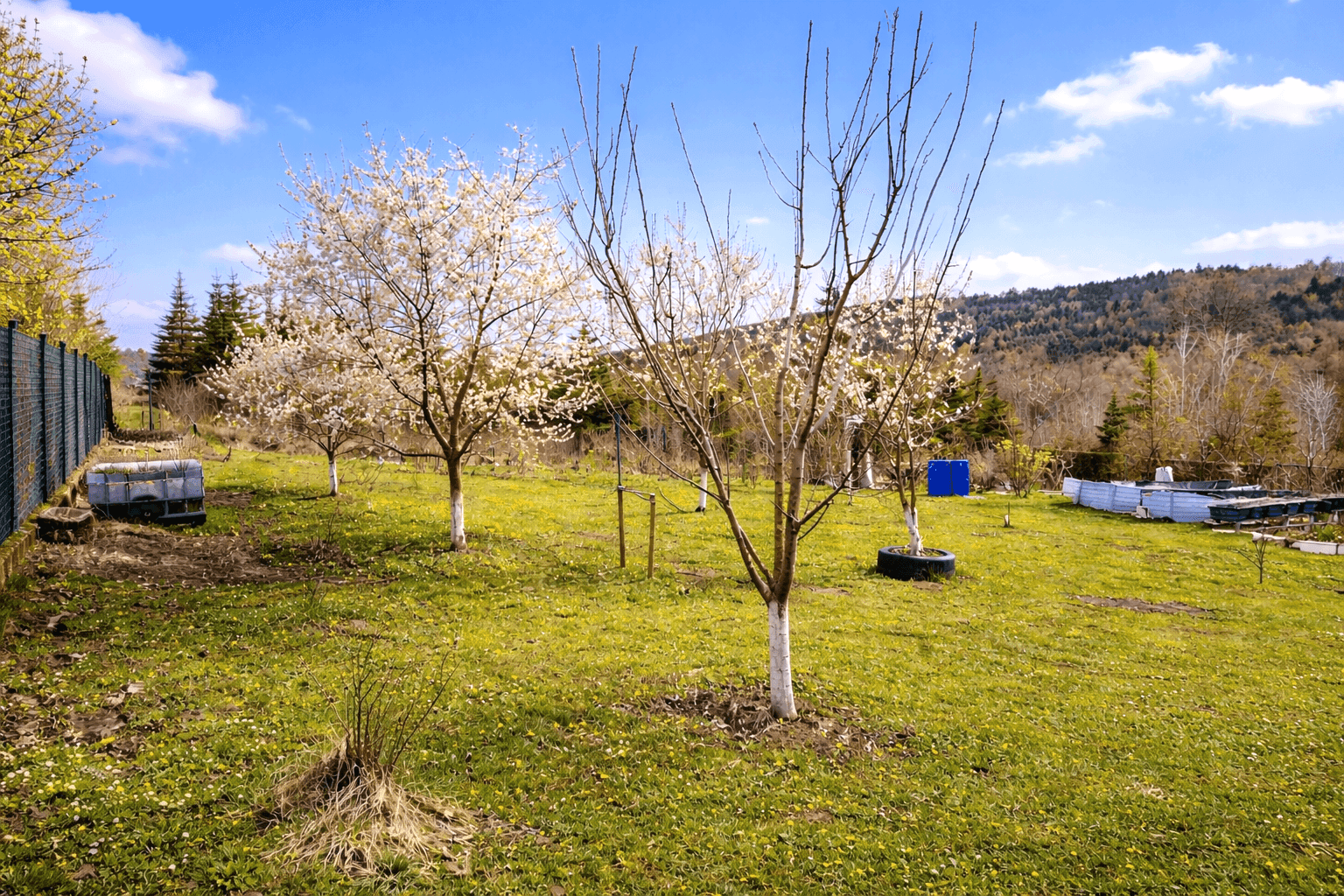 Familientraum im Wienerwald! Einfamilienhaus mit großem Garten! - Ansicht 5