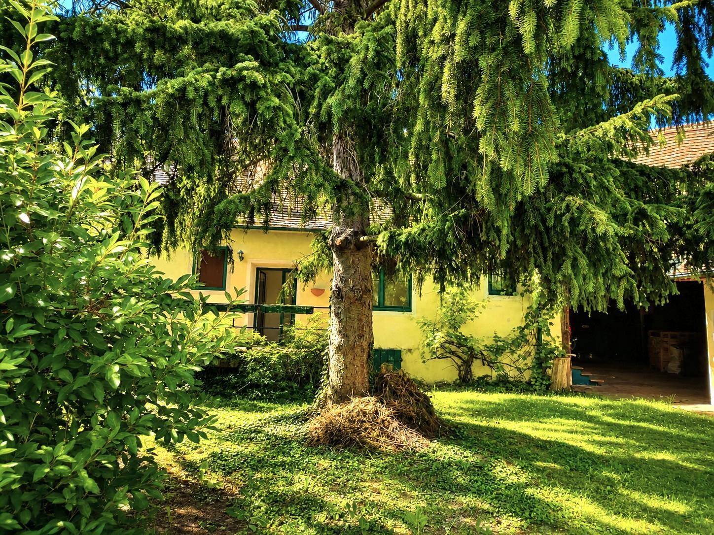 Malerischer Gartenbereich mit altem Baum und Blick auf das traditionelle Landhaus.