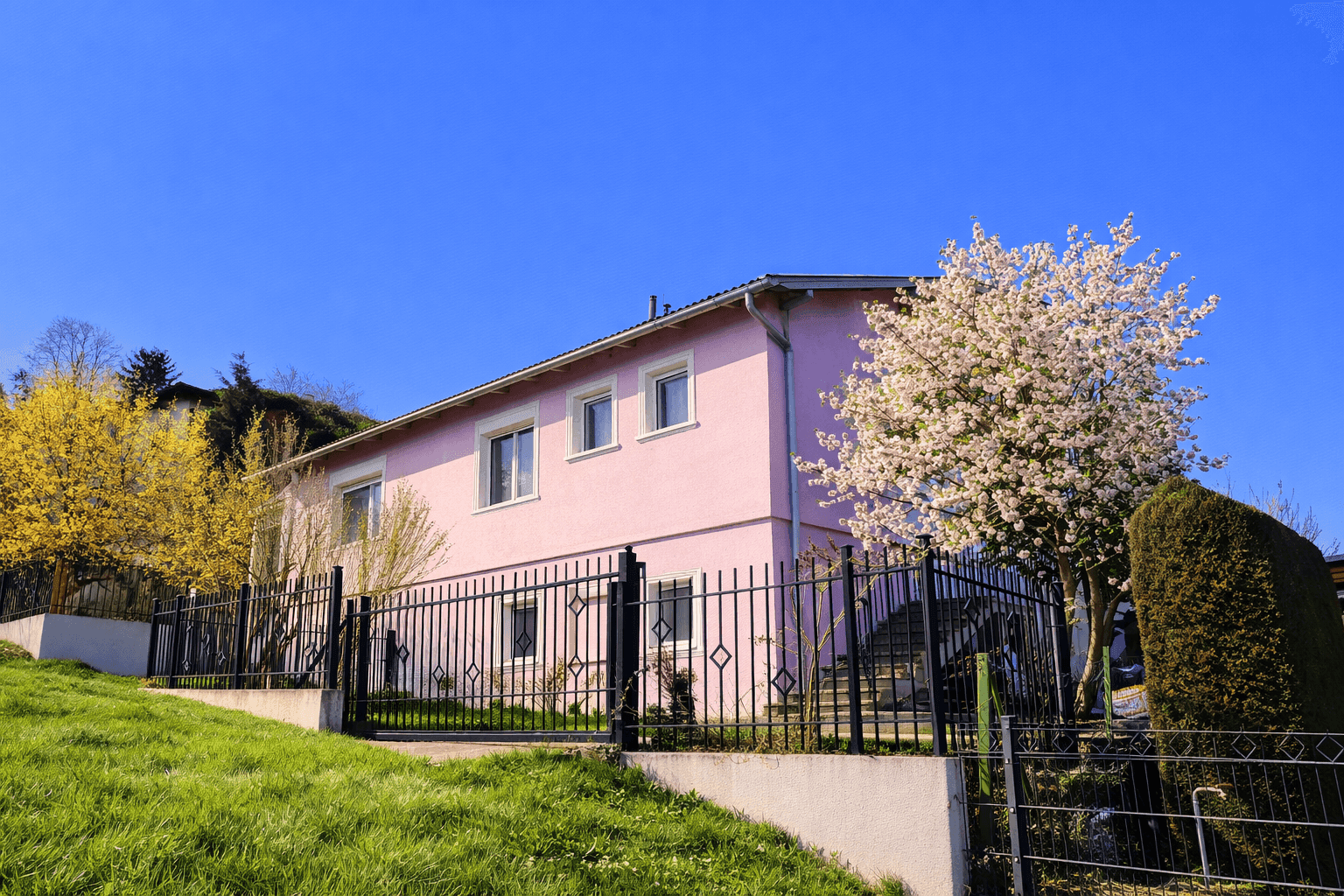 Rosa gestrichenes Haus mit blühenden Bäumen und einem gepflegten Vorgarten unter blauem Himmel.