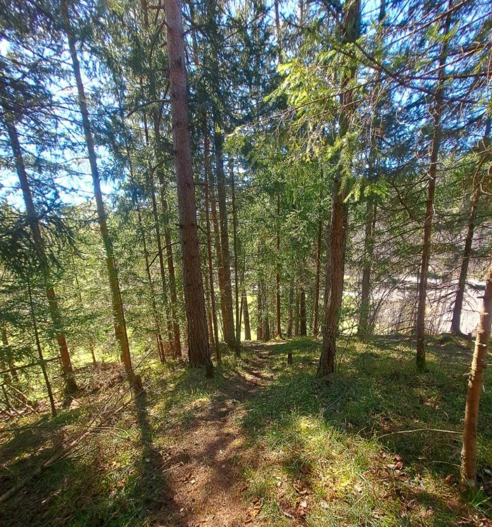 Traumhafte Liegenschaft im Schneeberg-/Raxgebiet 15.000 m² Eigengrund (Baugrund, Grünland, kleiner Forst) - Mehr
