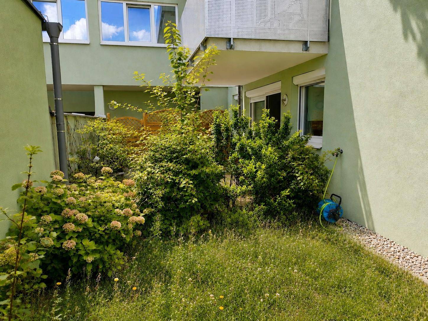 Kleiner Gartenbereich mit Sträuchern und Bewässerungsschlauch neben dem Gebäude.