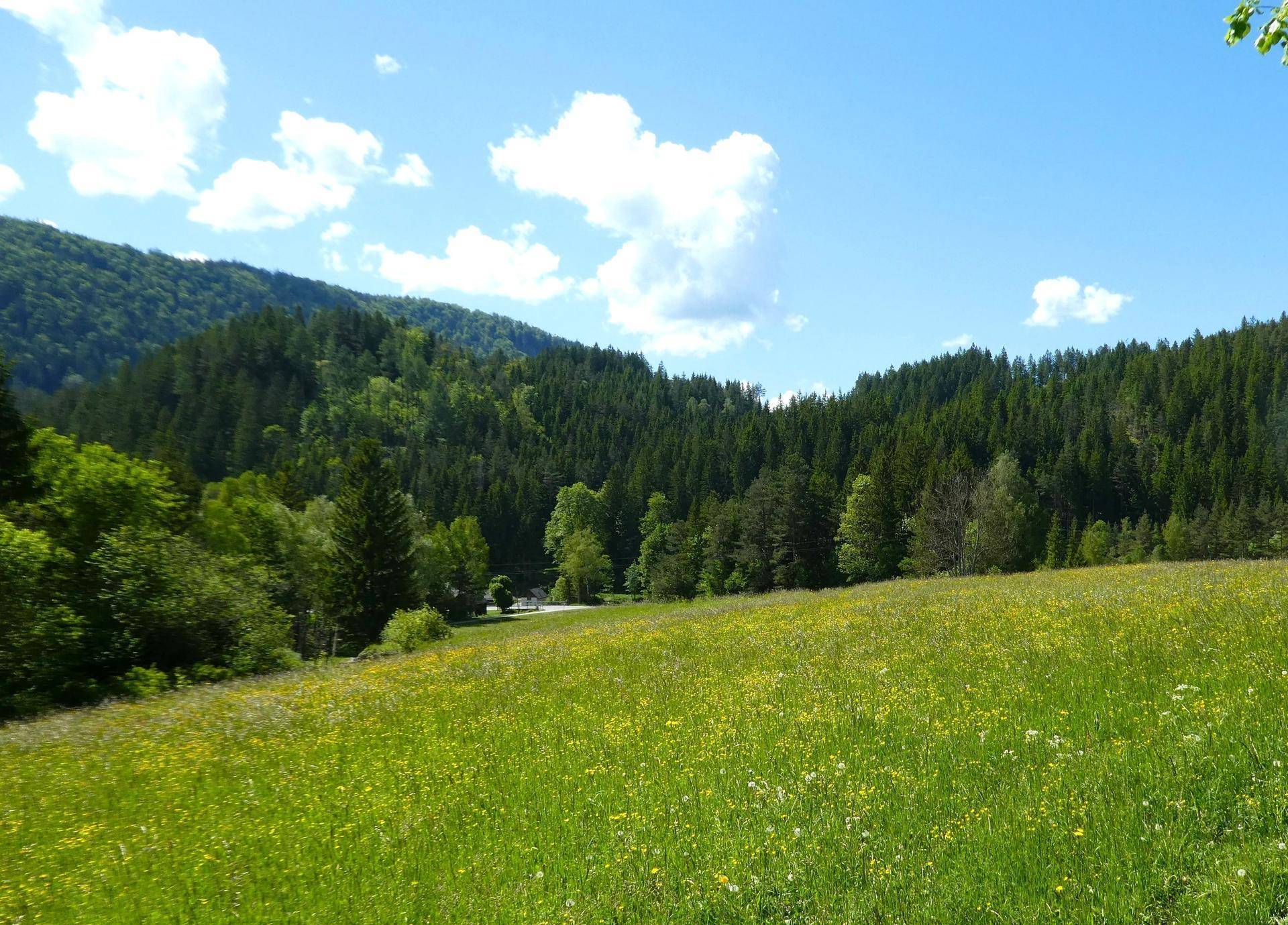 Traumhafte Liegenschaft im Schneeberg-/Raxgebiet 15.000 m² Eigengrund (Baugrund, Grünland, kleiner Forst) - Ansicht 2