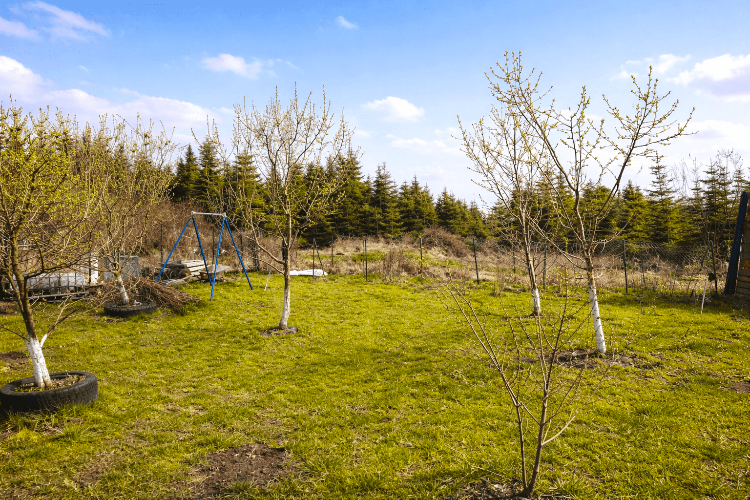 Weitläufiger Garten mit jungen Bäumen und einem Schaukelgestell, umgeben von Wald.