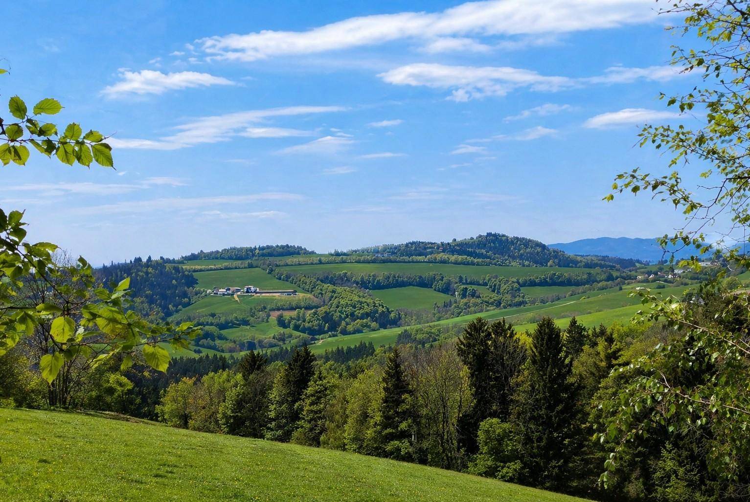 Weitläufige grüne Hügellandschaft mit Wäldern und Feldern unter einem strahlend blauen Himmel.