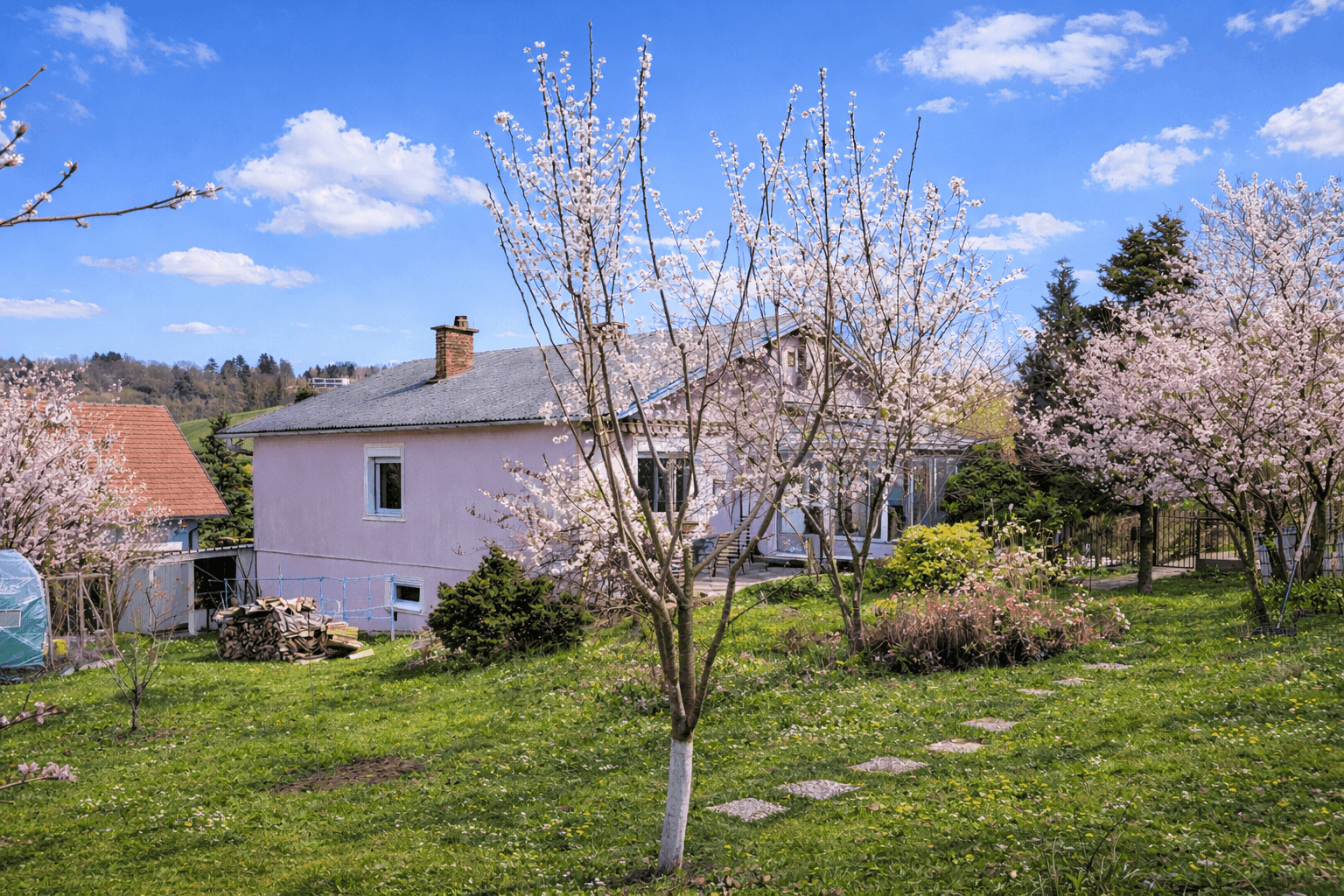 Weitläufiger Gartenbereich mit blühenden Bäumen, Rasenfläche und dem rosa gestrichenen Haus im Hintergrund.