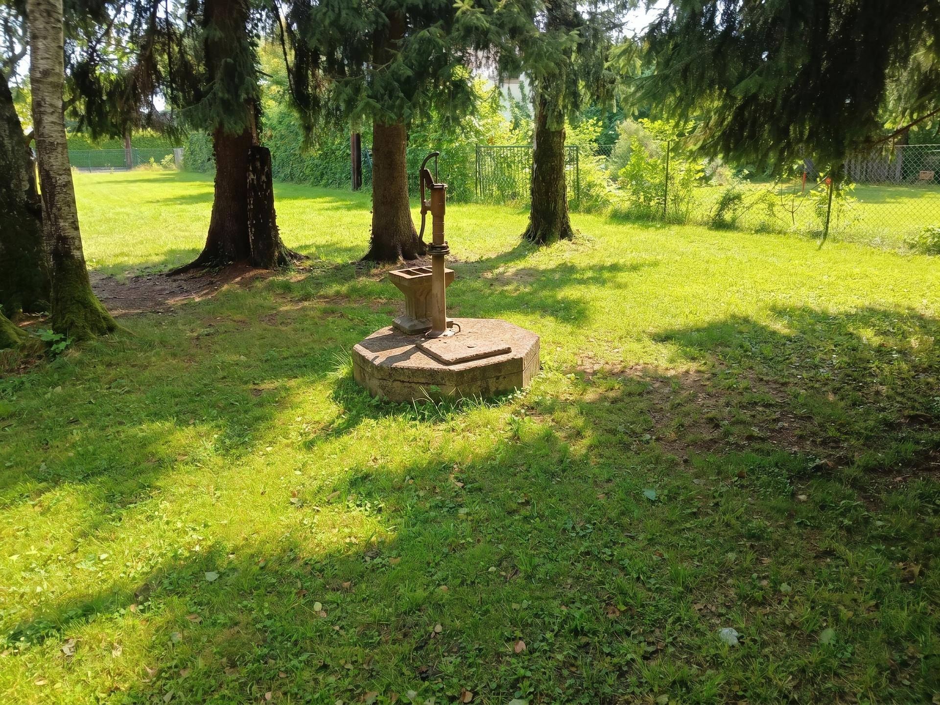 Grundstück am Wald für Eigenheim am Ruckerlberg - Ansicht 5