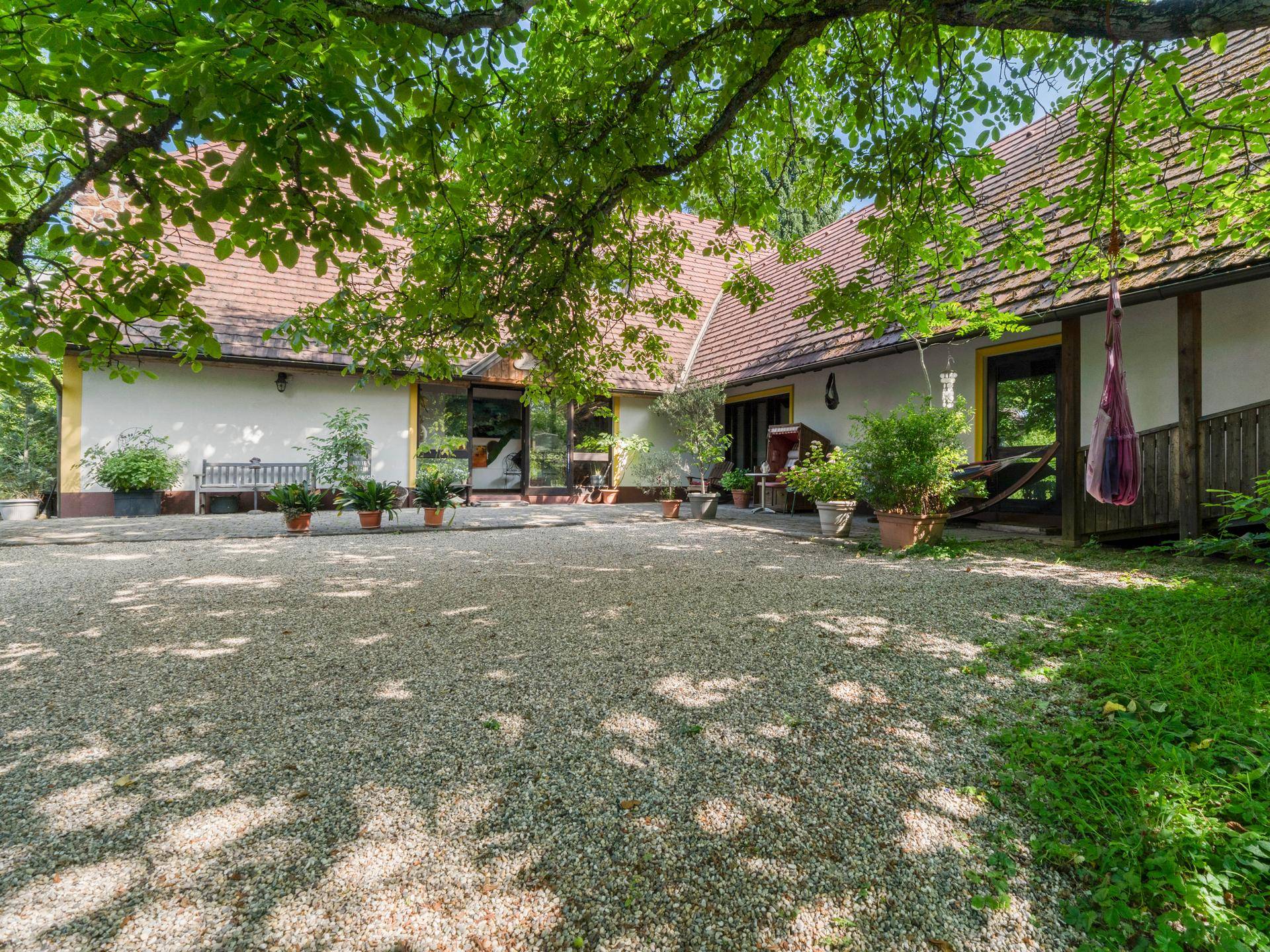 Großer Kieshof vor dem Haus mit vielen Pflanzen und schattenspendenden Bäumen.