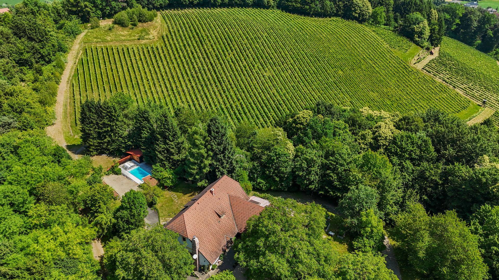 Luftaufnahme eines Anwesens mit Pool und angrenzendem Weinberg in ländlicher Umgebung.
