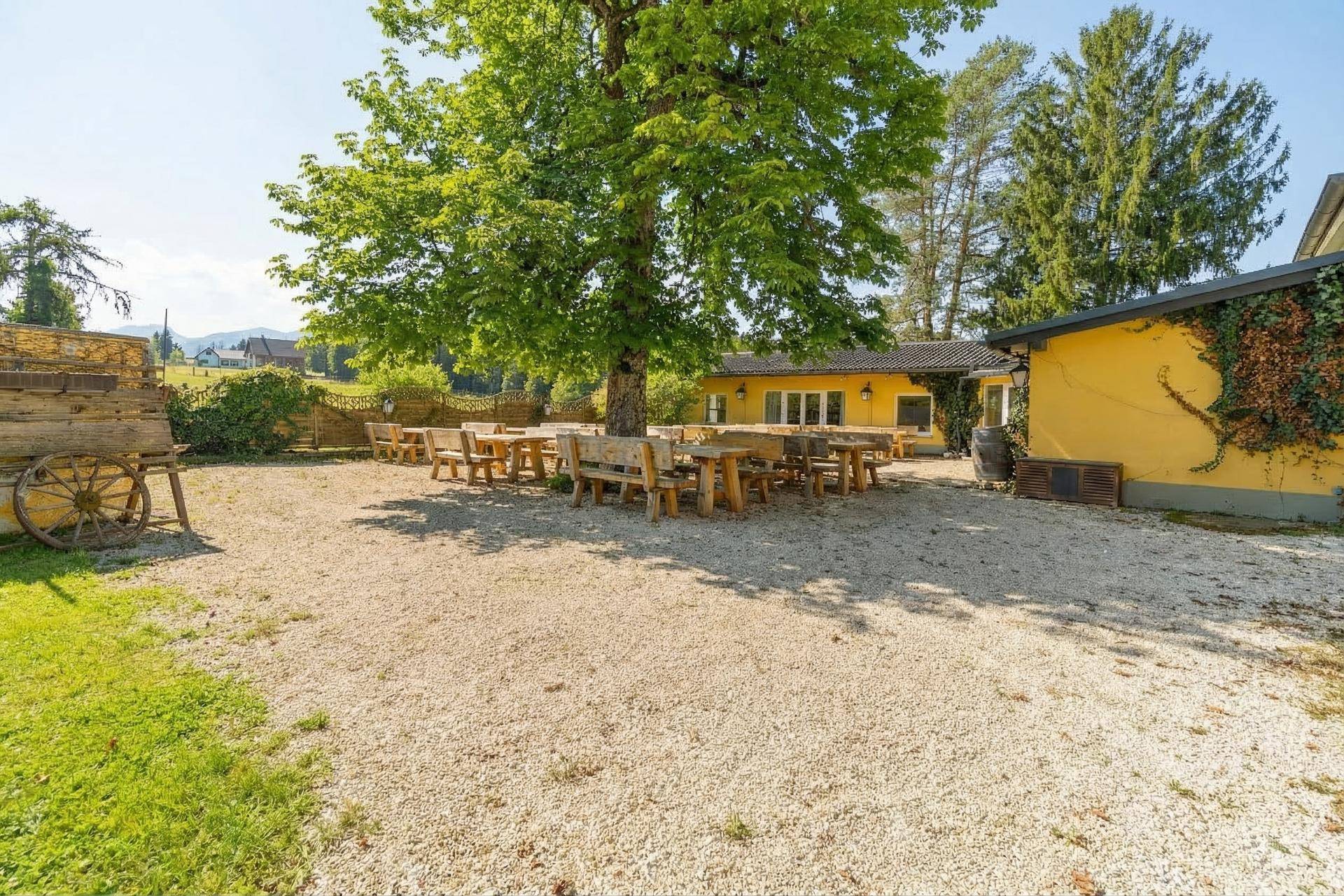 Rustikaler Außenbereich mit Holzbänken und Tischen unter einem schattenspendenden Baum.
