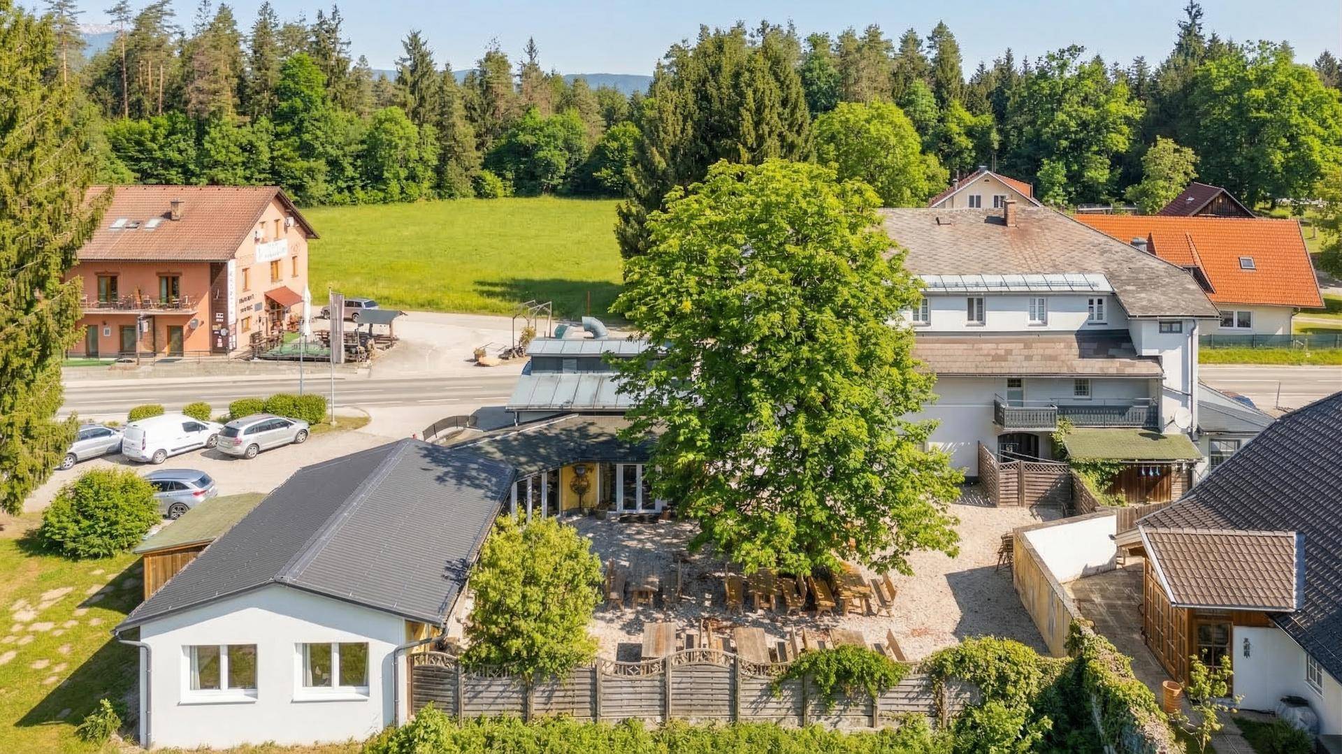 Gemütlicher Außenbereich mit Holztischen und Bänken unter einem großen Baum für Gäste.