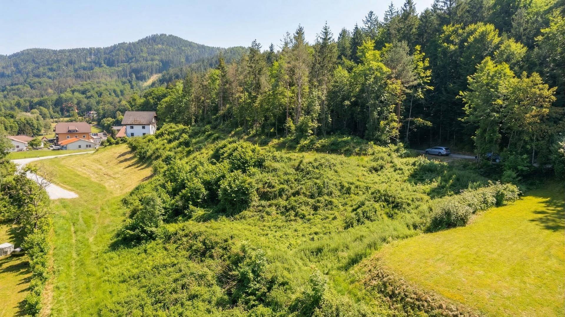 Großes, grünes Grundstück mit dichter Vegetation und Bäumen an einem Hang gelegen.