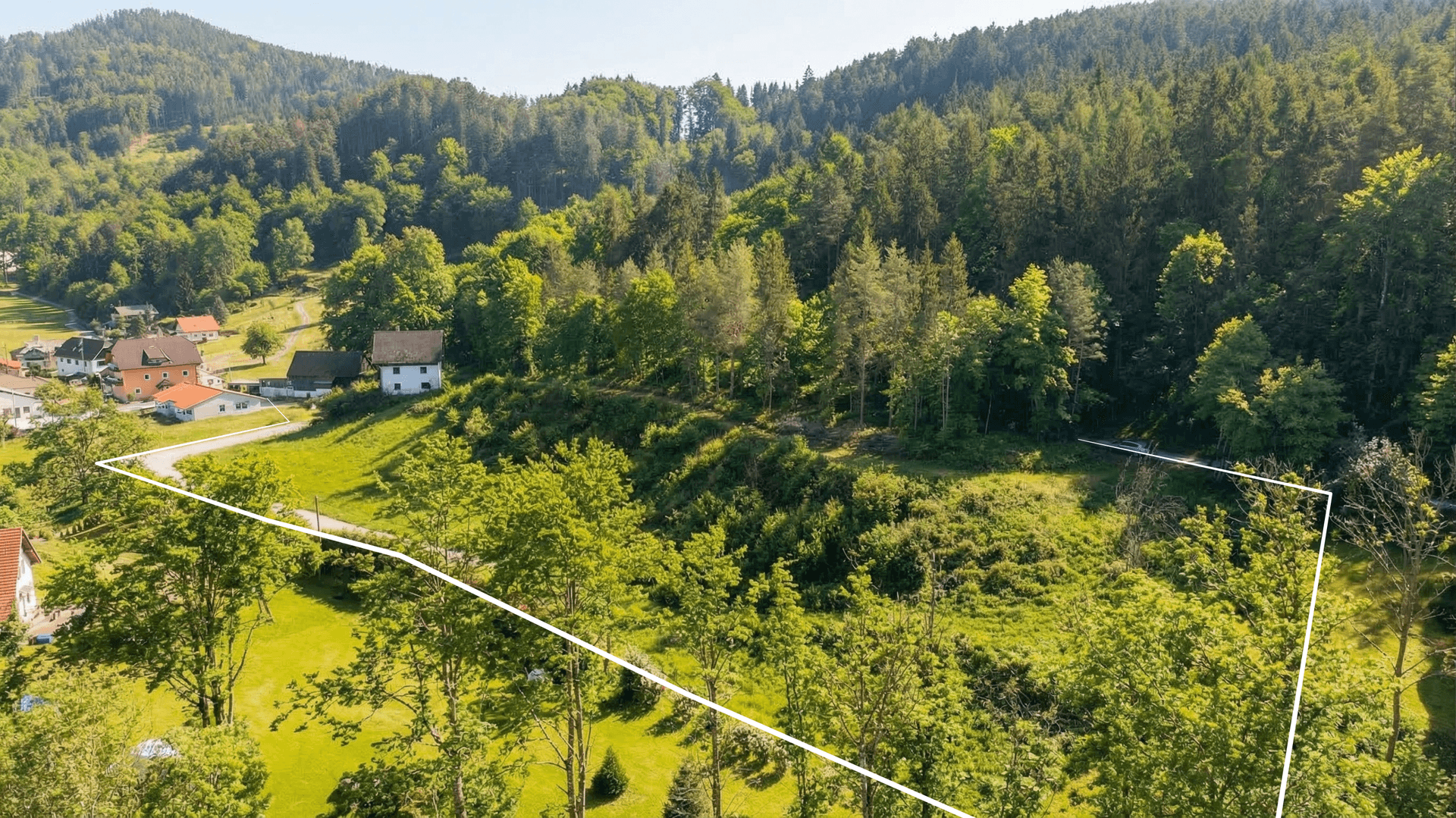 Luftaufnahme eines großen, bewaldeten Grundstücks mit angrenzenden Häusern und Bergen im Hintergrund.