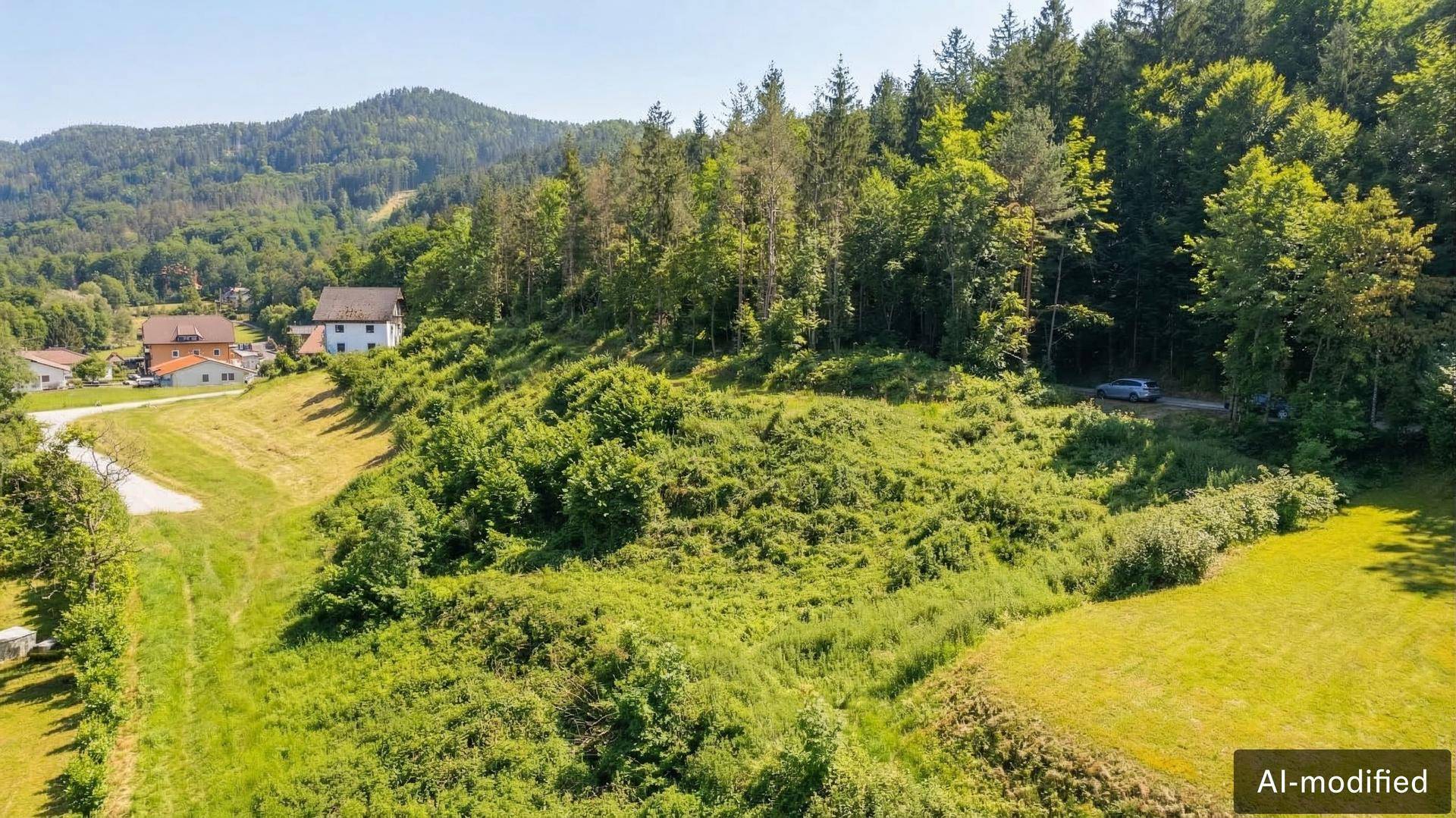 Verwildertes, hügeliges Grundstück mit dichter Vegetation und Wald im Hintergrund, ideal für Naturliebhaber.