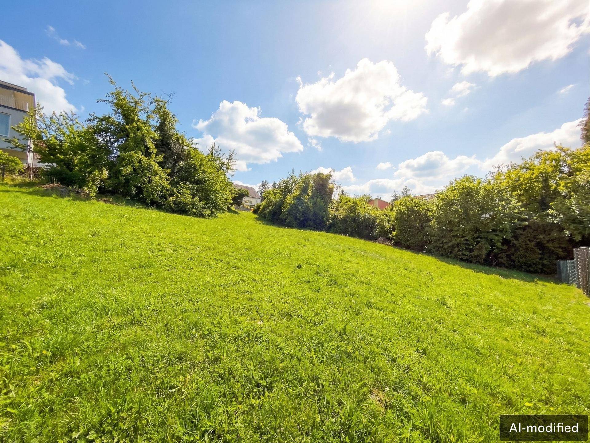 Weitläufige grüne Wiese auf einem Hanggrundstück, umgeben von Hecken und Bäumen unter strahlendem Himmel.