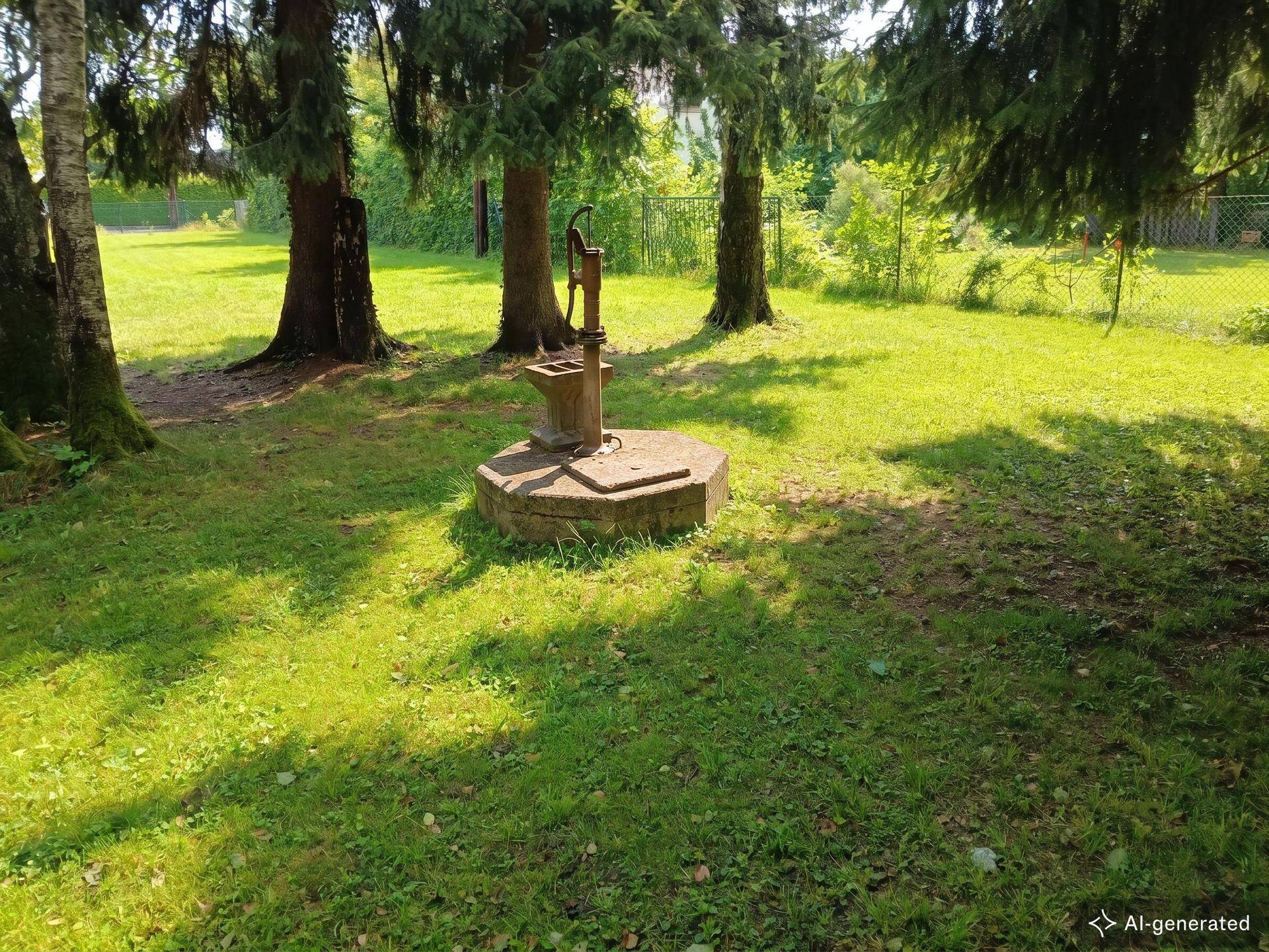 Ein grüner Gartenbereich mit hohen Bäumen und einer rustikalen Wasserpumpe im Vordergrund.