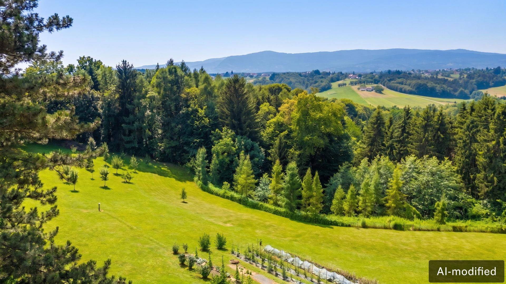 Weitläufige grüne Landschaft mit jungen Bäumen und einem beeindruckenden Fernblick.