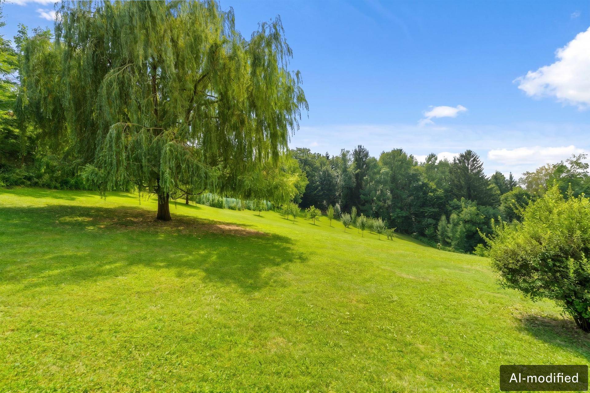 Große Rasenfläche mit einem majestätischen Trauerweidenbaum unter blauem Himmel.