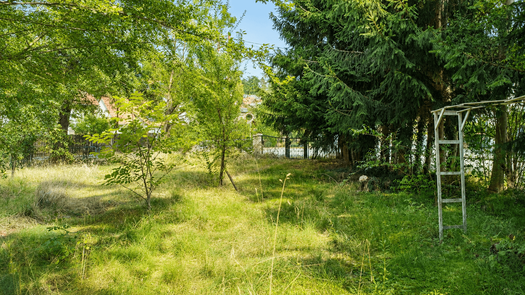 Naturbelassener Gartenbereich mit hohen Bäumen, üppigem Gras und einem Metallbogen.