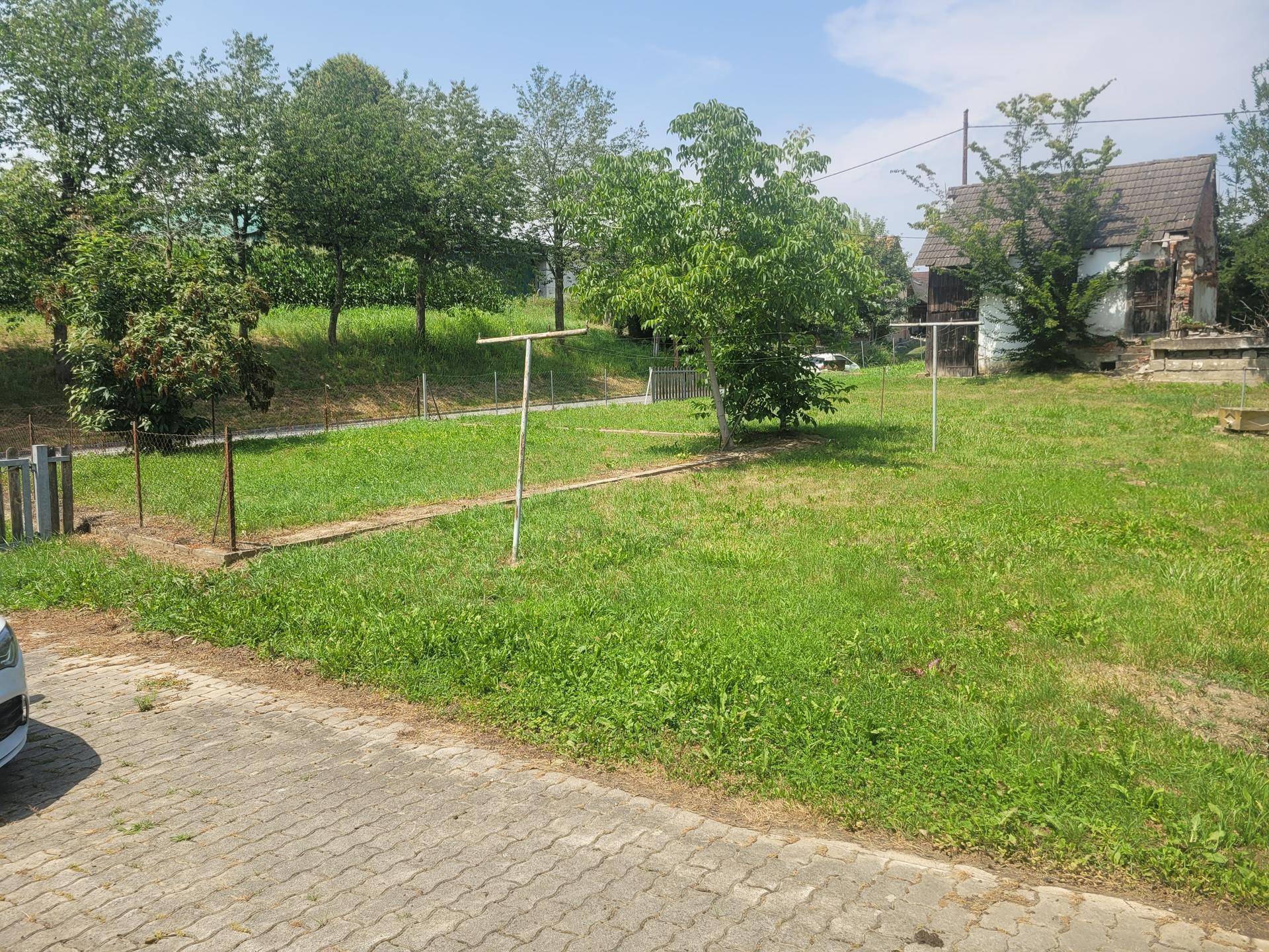 Grüner Gartenbereich mit Wäscheleinen und Bäumen im Hintergrund, umgeben von einem Zaun.