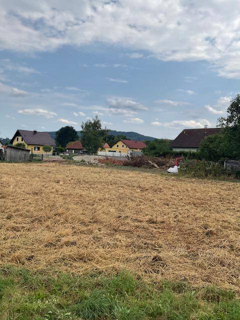 Weitläufiges Feld mit trockenem Gras und Häusern in der Ferne unter bewölktem Himmel.