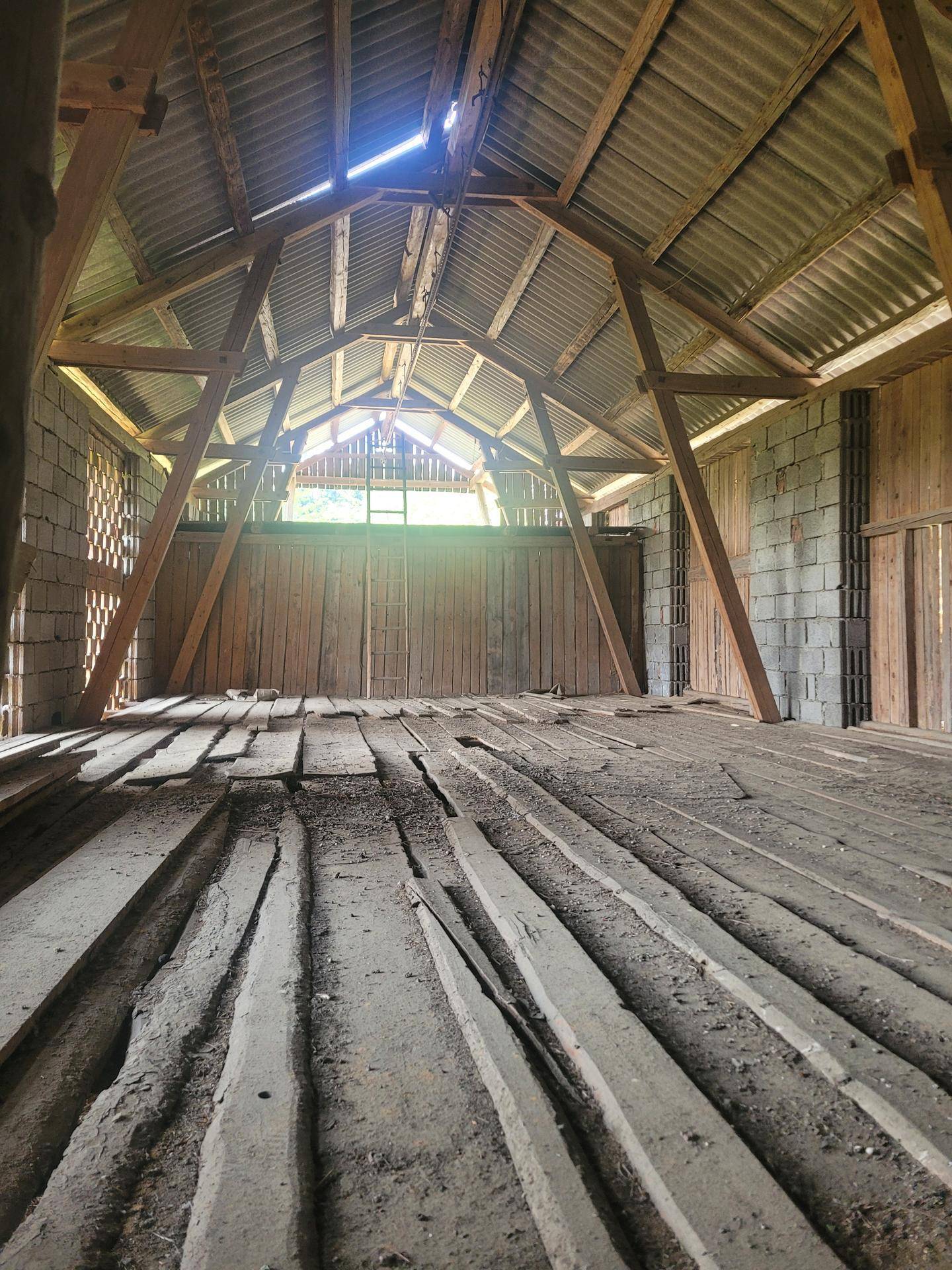 Geräumiger Dachboden oder Scheunenraum mit sichtbaren Holzbalken und Wellblechdach.