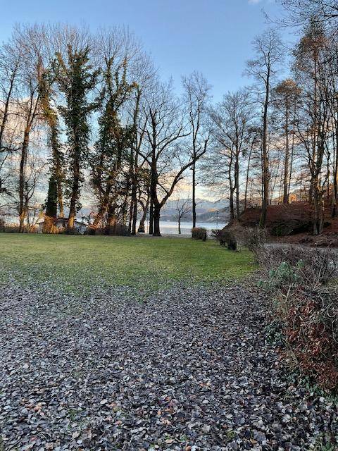 Weitläufige Grünfläche mit hohen Bäumen und einem malerischen Blick auf den See im Hintergrund.