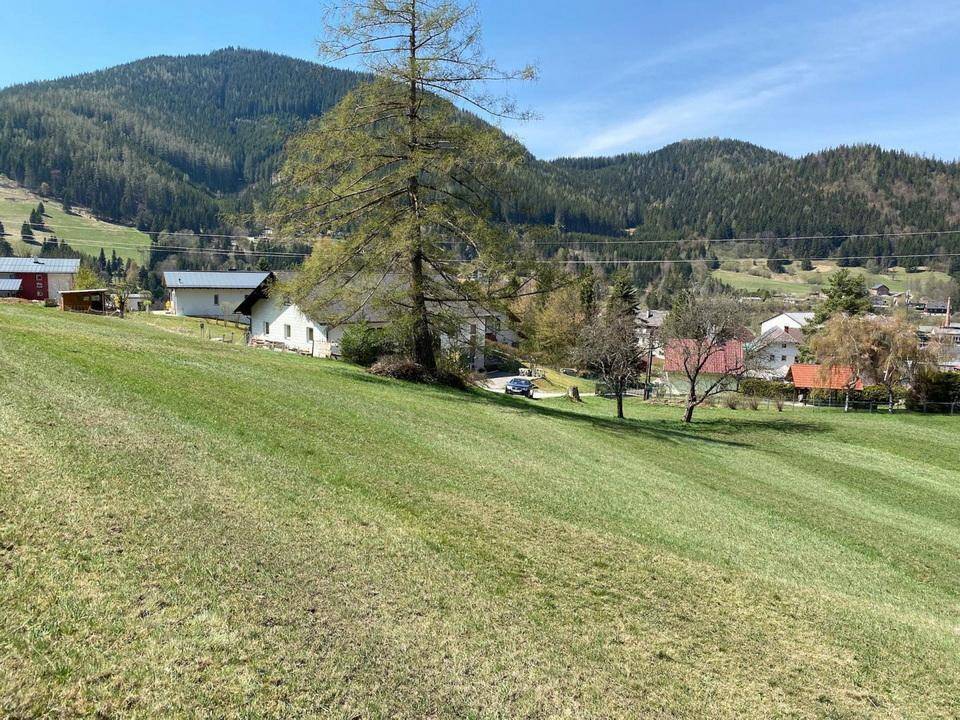 Idyllische Landschaft mit grünen Wiesen, hohen Bäumen und Häusern vor einer Bergkulisse.