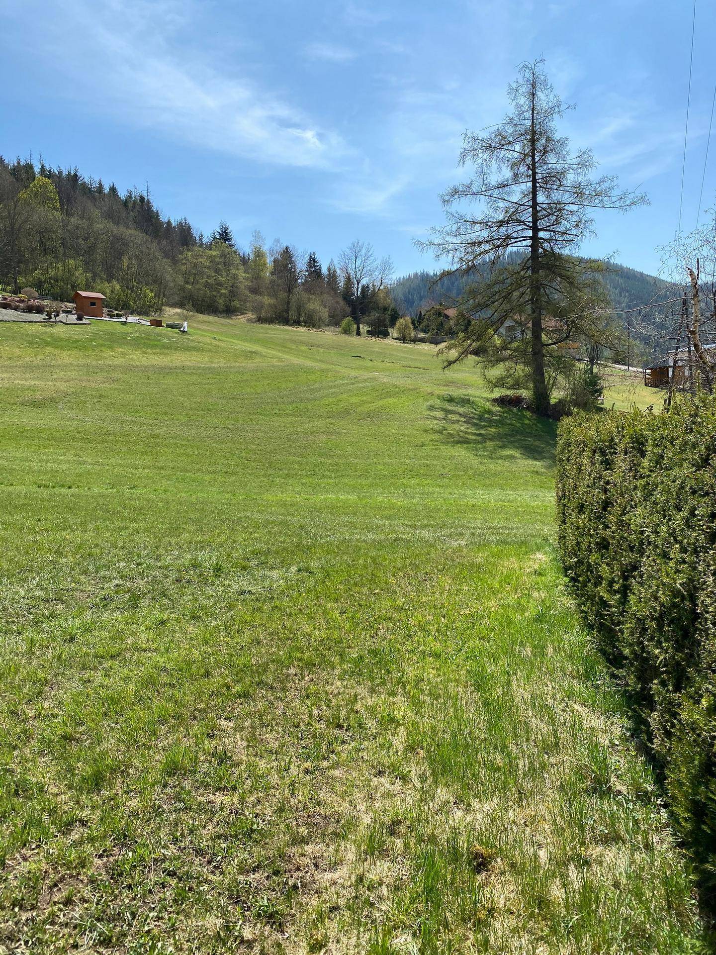 Grüne Wiesen und eine hohe Hecke mit Blick auf bewaldete Hügel unter blauem Himmel.