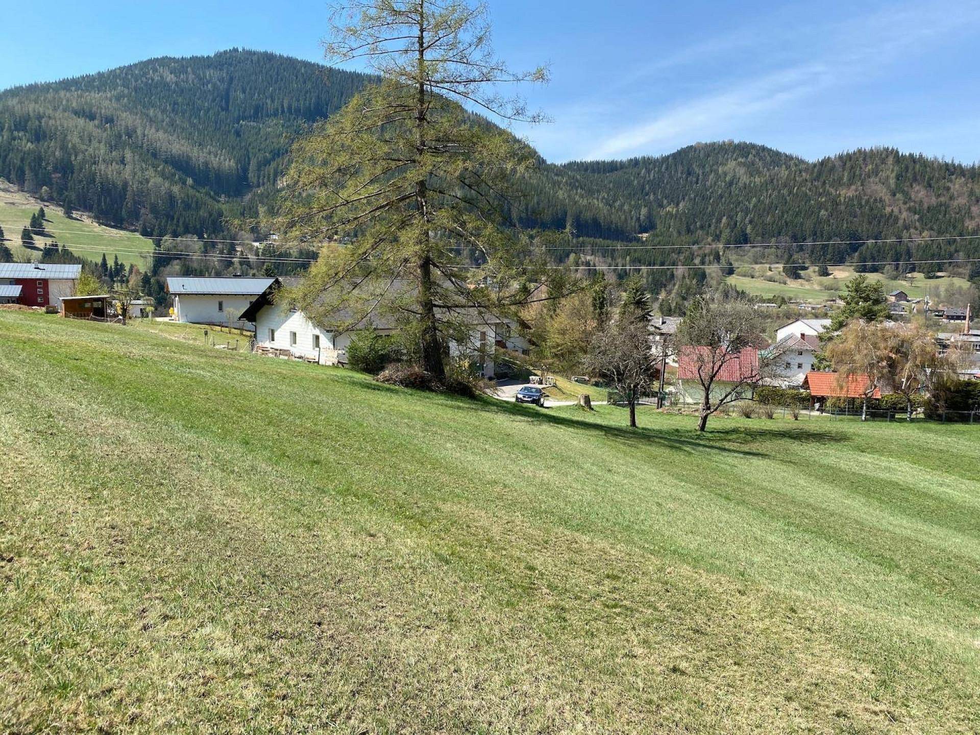 Idyllische Landschaft mit sanften Hügeln, grünen Wiesen und traditionellen Häusern im Tal.