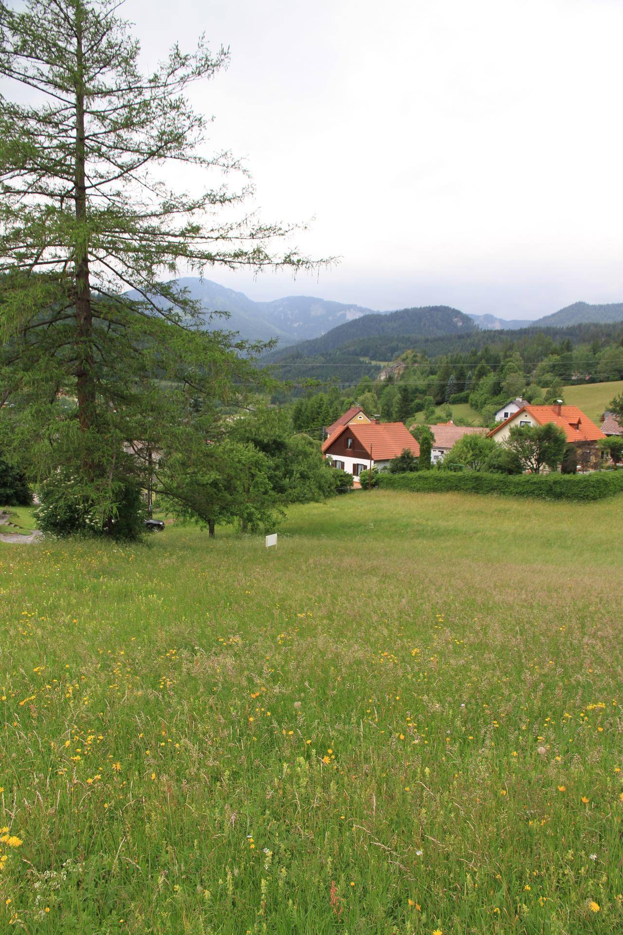 Blühende Wiesen im Vordergrund mit ländlichen Häusern und bewaldeten Bergen im Hintergrund.