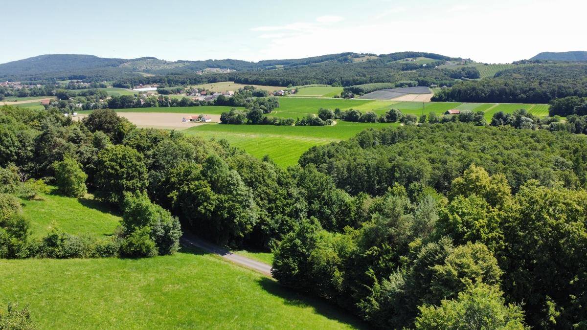 Ausblick nach Nord-Osten