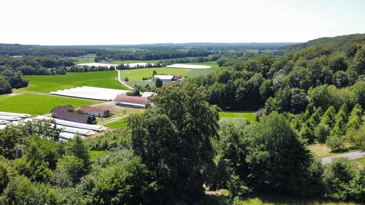 Ausblick nach Süd-Osten