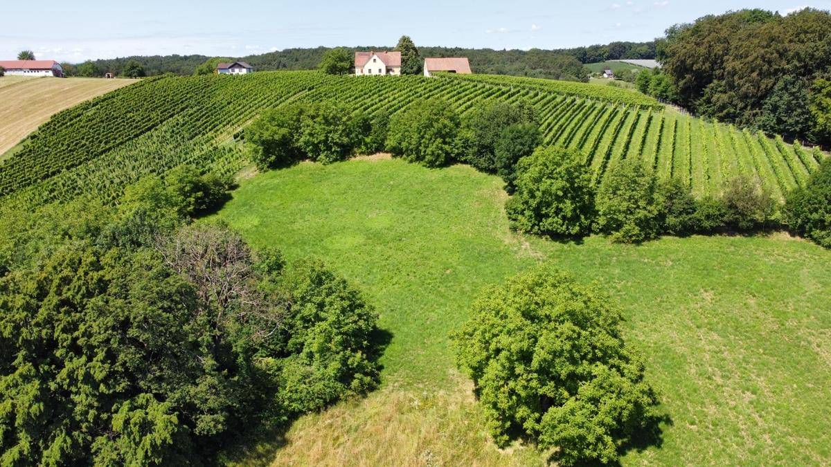Nachbarn oberhalb des Anwesens