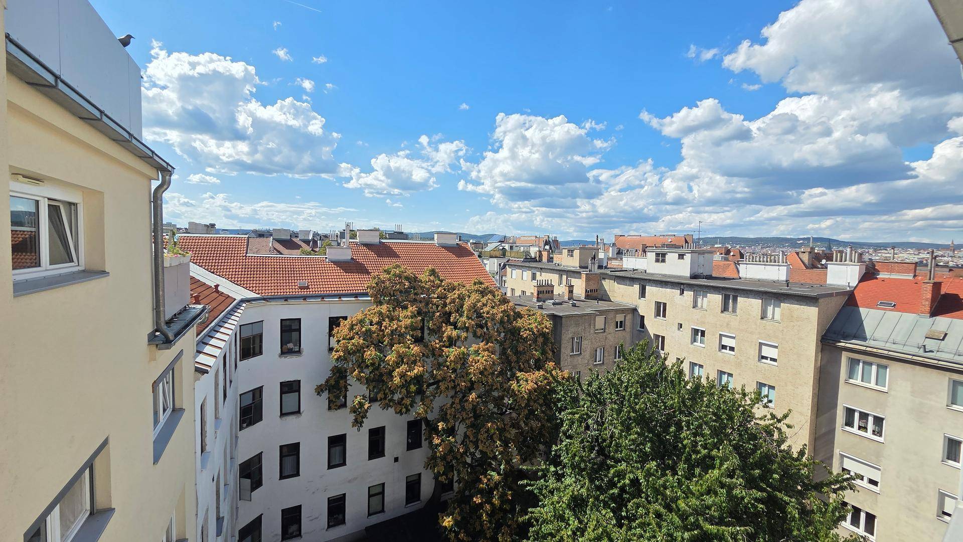 Weitblick über die Dächer der Stadt mit grünen Bäumen unter blauem Himmel und weißen Wolken.