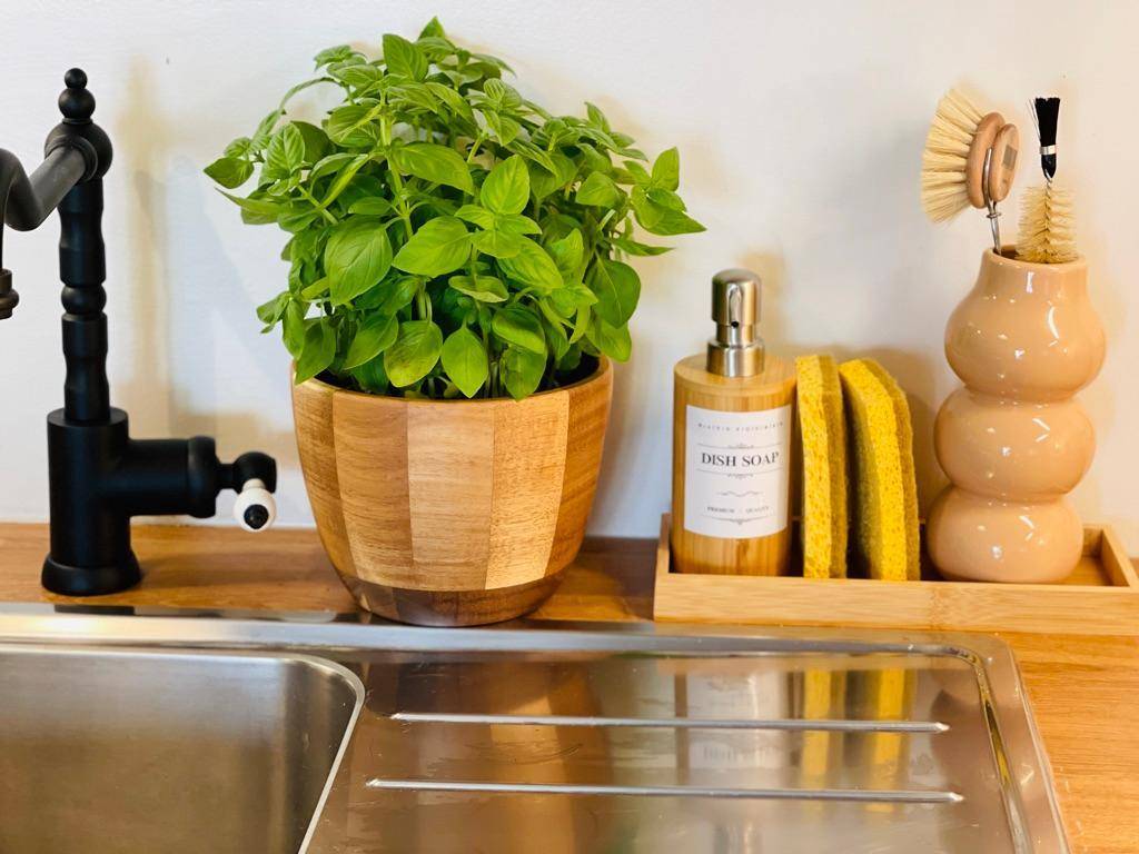 Nahaufnahme des Küchenspülbereichs mit schwarzem Wasserhahn, Topfpflanze und Reinigungsutensilien.