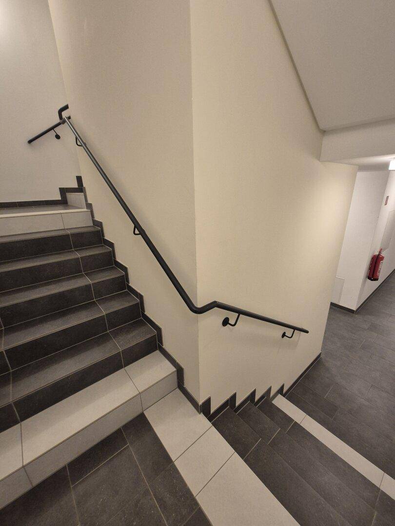 Modernes Treppenhaus mit dunklen Stufen, weißen Wänden und schwarzen Handläufen für Sicherheit.