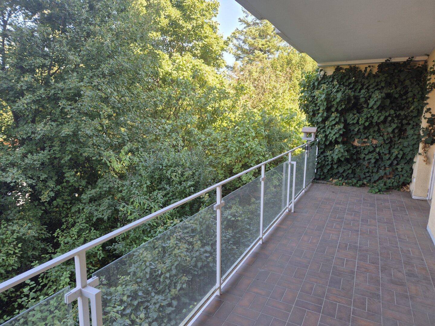 Langer Balkon mit Glasgeländer und Blick ins Grüne, eine Wand ist mit Efeu bewachsen.
