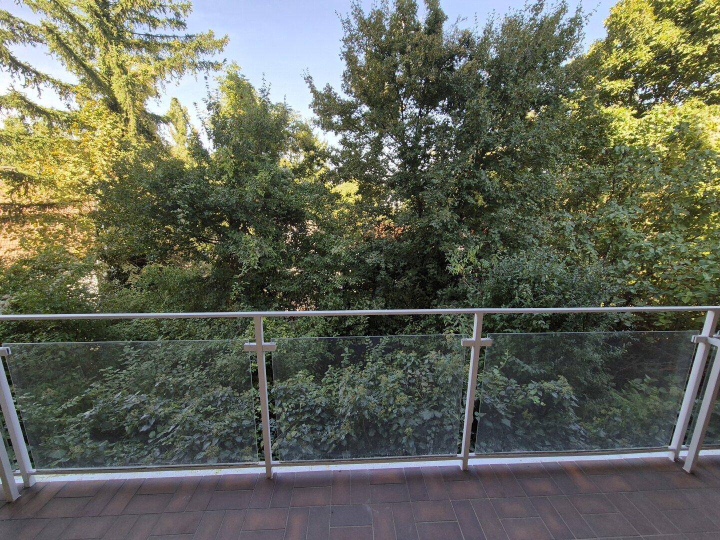 Balkon mit Glasgeländer und weitem Blick auf die umliegende grüne Landschaft und Bäume.