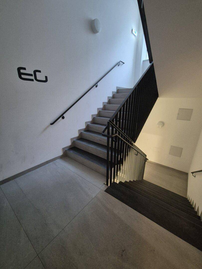 Modernes Treppenhaus mit dunklen Stufen und schwarzem Metallgeländer, das die verschiedenen Etagen verbindet.