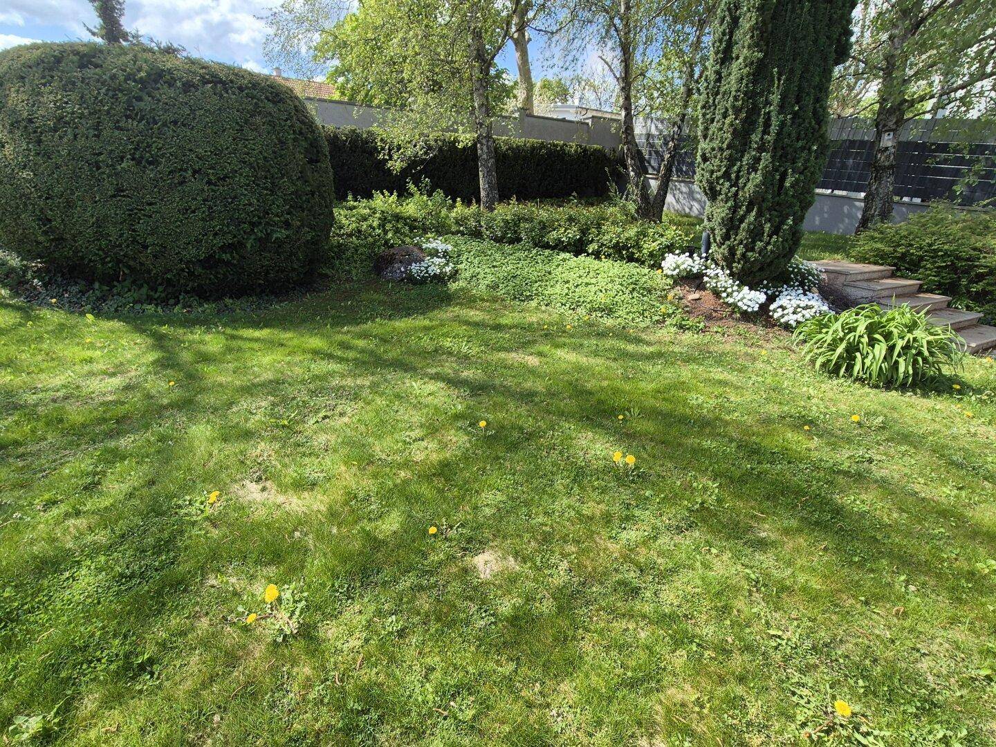 Weitläufiger Rasenbereich im Garten mit schattenspendenden Bäumen und blühenden Pflanzen.