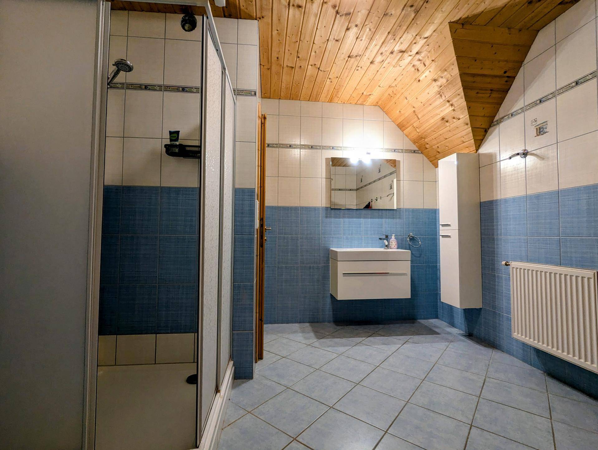 Badezimmer mit Duschkabine, blau-weißen Fliesen und einer Holzdecke im Dachgeschoss.