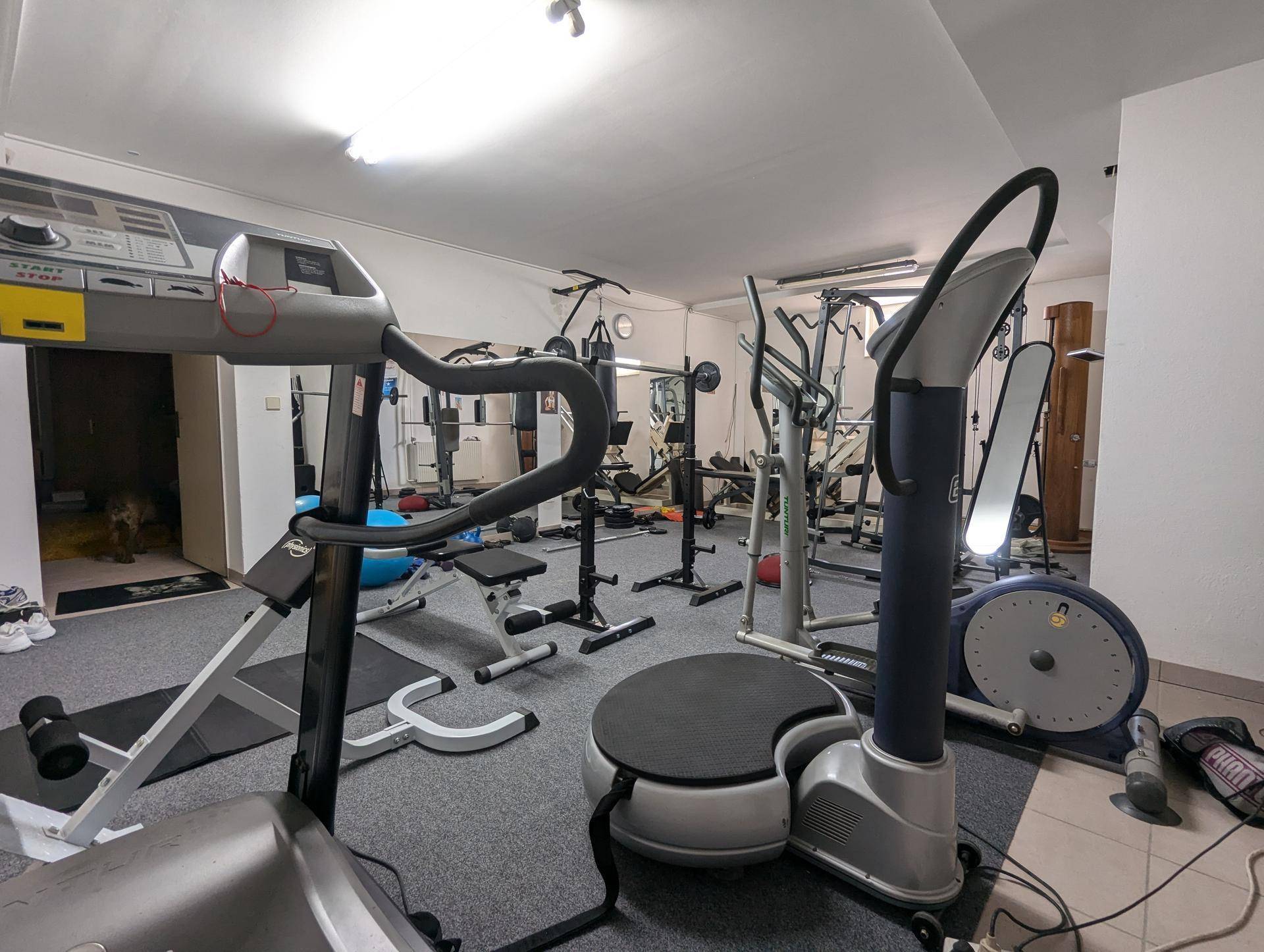 Geräumiger Fitnessraum im Keller mit verschiedenen Trainingsgeräten und Teppichboden.