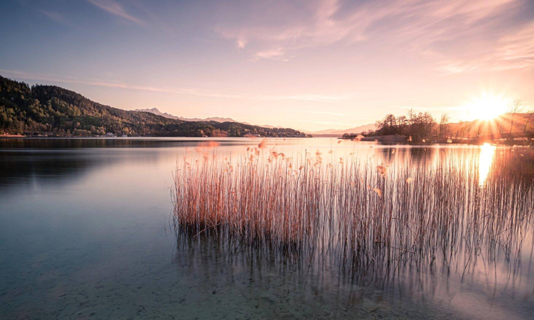 Sonnenuntergang über einem ruhigen See mit Schilf im Vordergrund und sanften Hügeln im Hintergrund.