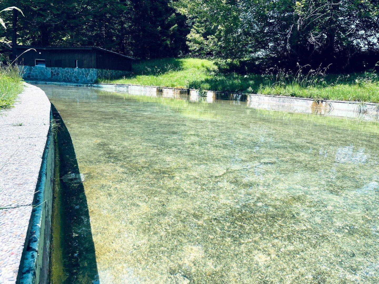 Klares Wasserbecken mit steinernen Rändern in einer natürlichen Umgebung, umgeben von Grün.
