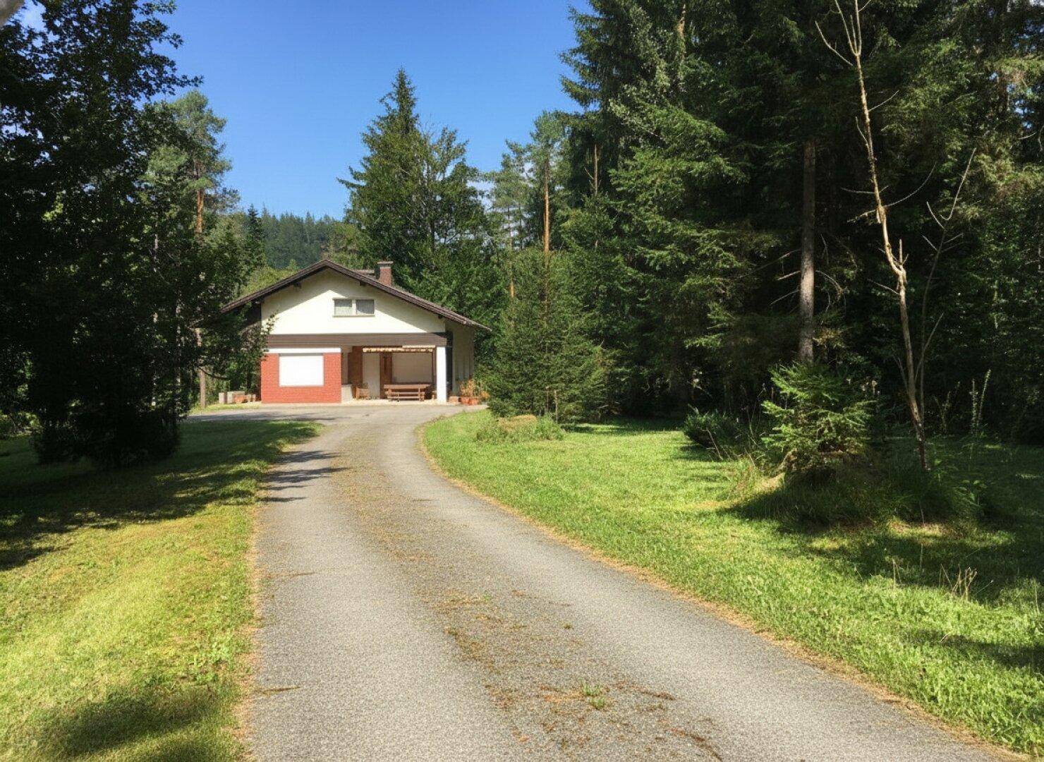 Zufahrt zu einem Einfamilienhaus, umgeben von hohen Bäumen und grüner Natur.