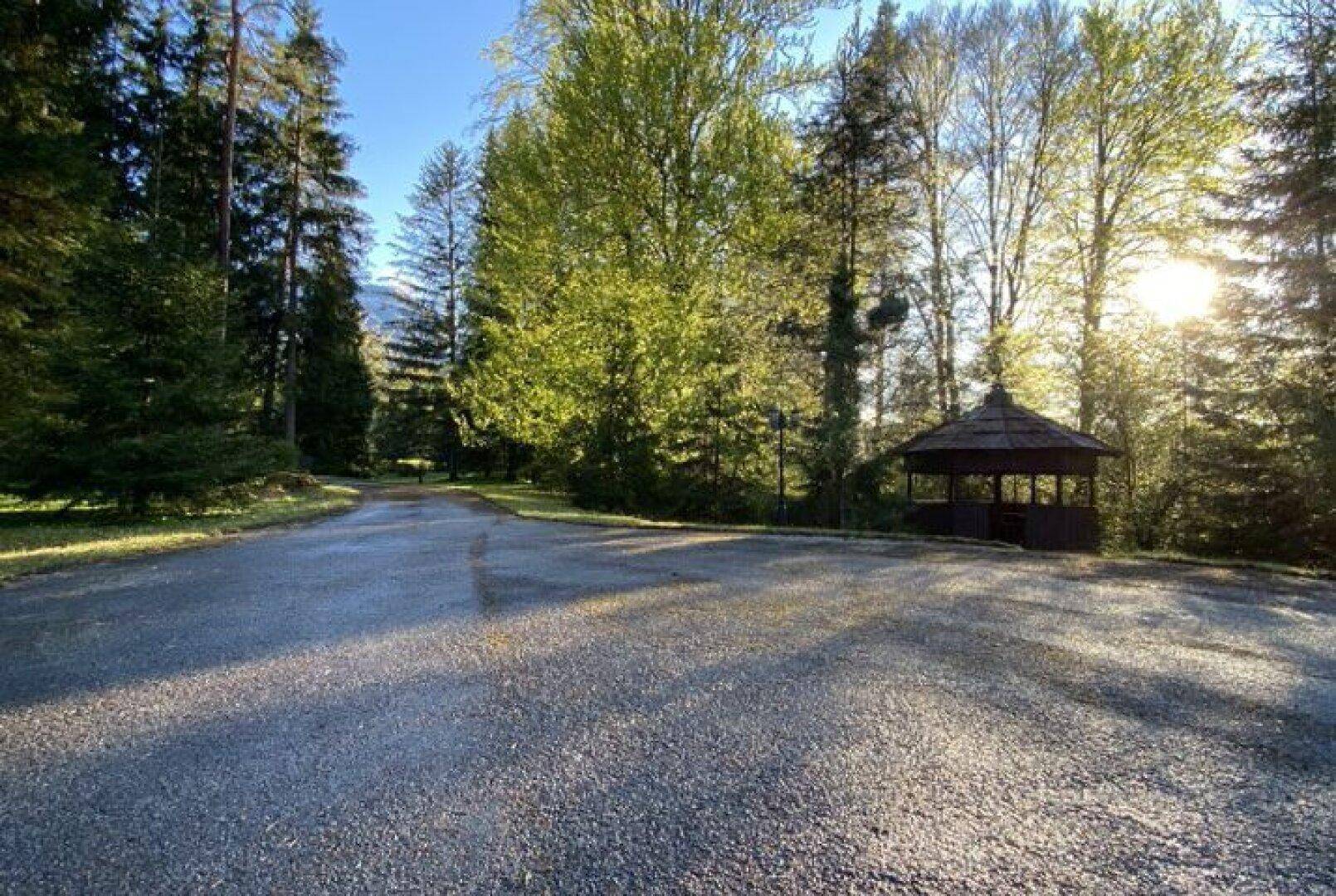 Asphaltierter Weg mit einem hölzernen Pavillon am Waldrand, beleuchtet von der Morgensonne.